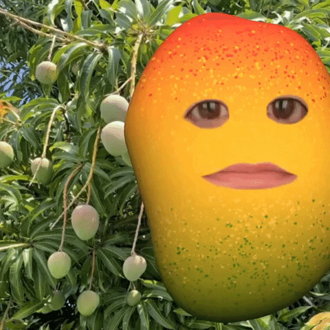 Mango Leaves